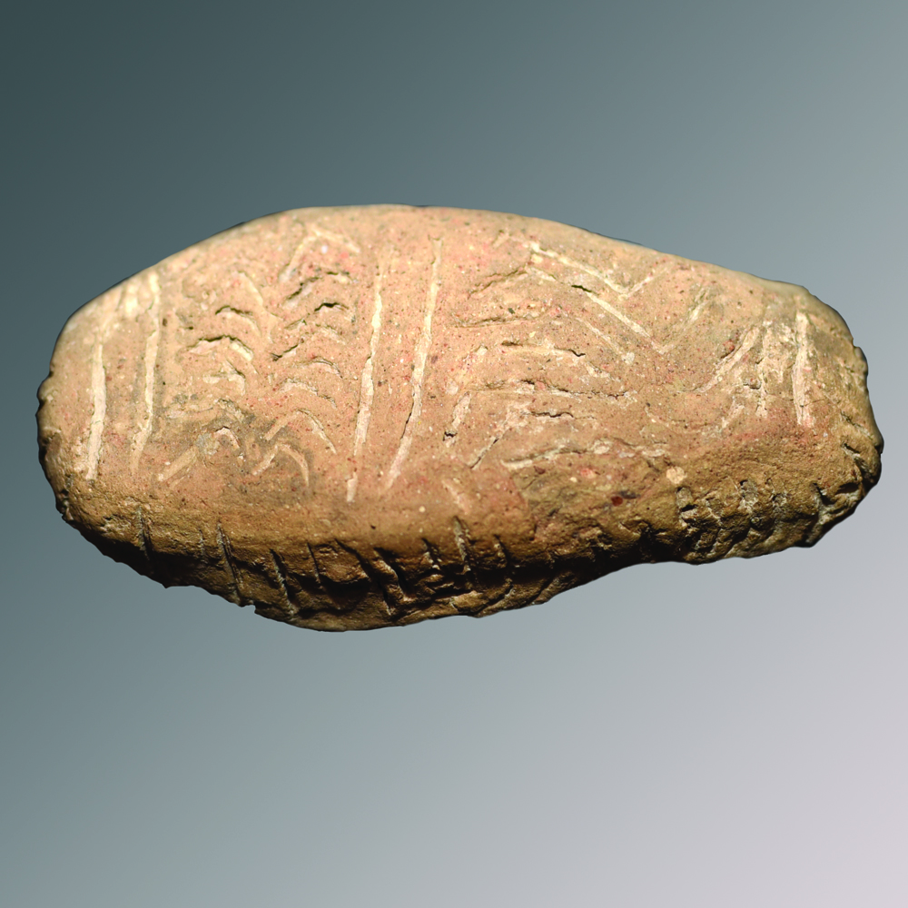 Малката керамична плочка, украсена с мистериозни графични знаци, е случайно открита при археологическа експедиция в Новозагорско през 2017 година. Запазена изцяло, плочката е на 8000 години, като се смята, че е от късната новокаменна епоха или около 6000 години пр.н.е. Според някои изследователи знаците върху керамичната плочка представляват най-ранната протописменост в света (протописмеността е най-древната система от знаци за предаване на информация, предшестваща писмеността и предназначена за ограничен кръг от хора)